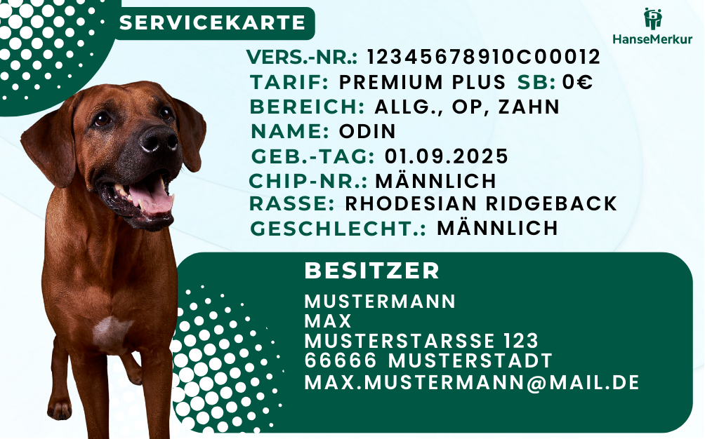 Care4Paws Notfallkarte